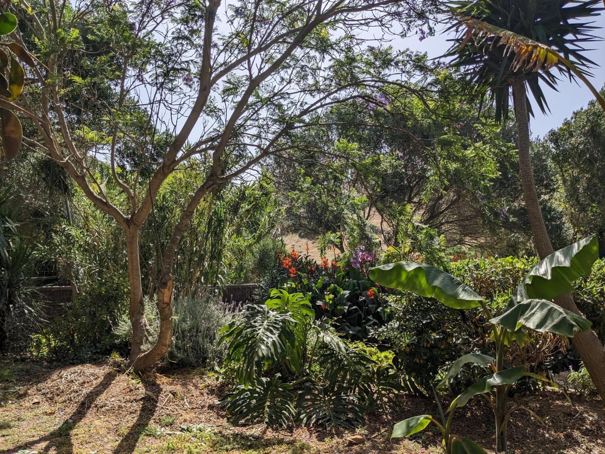 Home Stay En Finca Rural Тарифа Экстерьер фото